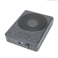 Özel Logo 10 İnç Koltuk Altı Aktif Subwoofer Araba Ses Sistemi İnce Bas Kutusu 12V Yüksek Güçlü Tepe Değeri Evrensel Araba Hoparlörü