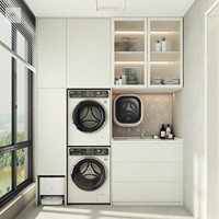 Armoire à linge moderne de luxe intégrée à deux machines superposées Balcon Laveuse-sécheuse Compagnon Meubles de maison
