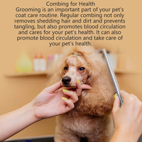 Peigne de toilettage professionnel Jusuo pour animaux de compagnie, peigne à queue pointue de luxe pour le coiffage, la finition et le démêlage des chats et des chiens