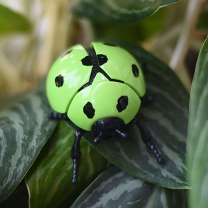 Cổ điển nhựa Bọ Cánh Cứng Đồng hồ đồ chơi cơ khí gió lên bé đu đồ chơi cho trẻ em - Product Image 4