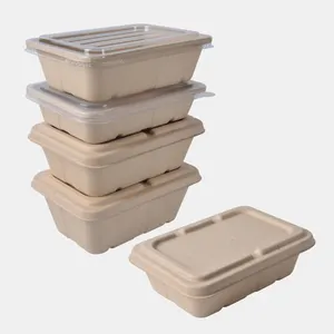 Scatola per alimenti biodegradabili per imballaggio 100% di Senang scatola per insalata di bagassa compostabile per canna da zucchero sicura per microonde, porta fuori contenitori per alimenti