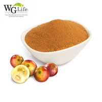 Prix d'usine Extrait de fruit de Camu Camu en poudre 10%-25% Extrait par solvant Qualité alimentaire Vitamine C en emballage en fût