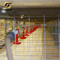 Cage de pontage pour poules pondeuses, équipement d'élevage avicole, cages en batterie pour poulets de chair, cages de pontage pour poulets de ferme
