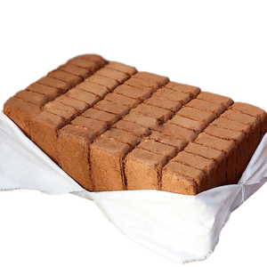 Bloc de fibre de coco 100% naturel et biologique, compressé, haute valeur nutritive, écologique, biodégradable, terreau de coco - Product Image 1