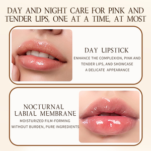 OEM ODM Nourishing Temperature Color Changing HOBA SEED OIL Lip Oil Moisturizing Plump Reduce Lip Lines Repair <strong>Dry</strong> Cracked Lip - Product Image 4