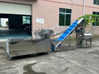 Vbjx Industriële Complete Mango Citroen-Sinaasappelsap Extractie Productielijn