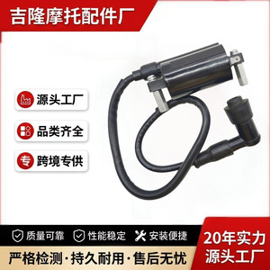Bobina de encendido Jilong para motocicleta Suzuki GS125 GN125 GT125 EN125 de un solo cilindro, pieza de repuesto - Product Image 4