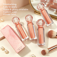 Gloss à lèvres liquide mat et brillant, haute pigmentation, hydratant, waterproof, 65 couleurs, marque privée