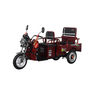 Tricycle Électrique Ouvert pour Adultes, Scooter Électrique à 3 Roues avec Grande Capacité de Bagages, Vélo Électrique avec Remorques - Product Image 3