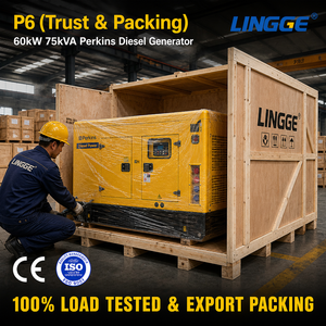 Gruppo Elettrogeno Diesel Silenzioso 60kW 75kVA con Motore Perkins Trifase 480V Avvio Remoto ATS per Backup Industriale - Product Image 6