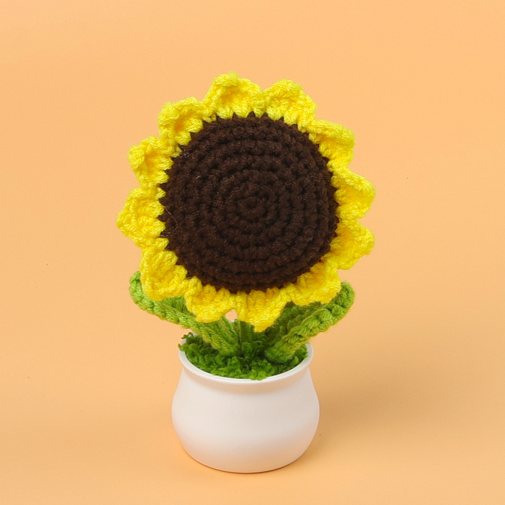 Sunflower small potted plant