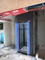 Ascenseur résidentiel à la maison de petite taille d'ascenseur du plancher 2.95m 2 avec la porte ouverte moyenne automatique