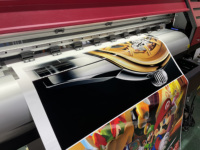 Impresora Eco Solvente Automática Tiffan de 2.5m con Cabezal Xp600 para Impresión de Publicidad Exterior, Gran Oferta