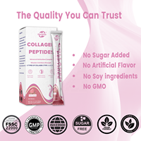 Poudre de collagène HACCP OEM en sticks, multi-types I, II, III, V, X, avec mélange antioxydant, vitamines C et E