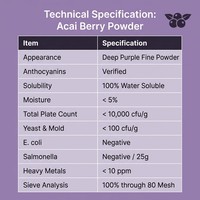 Poudre de Myrtille de Qualité Alimentaire Fournie par l'Usine, Anthocyanine Sauvage, Poudre Fine Violet Foncé en Fût, Soluble Instantanément pour Smoothies