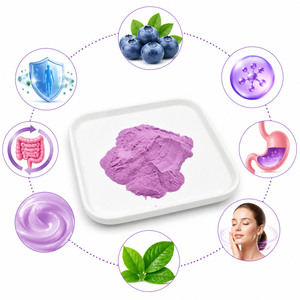 <span class=keywords><strong>Poudre</strong></span> de jus de fruits de myrtille biologique pure 5% Anthocyania - Product Image 2