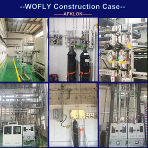 Regolatore di pressione monostadio per azoto elio 600psi ingresso/160psi sbocco in acciaio inox 316L regolabile per propano Argon - Product Image 5