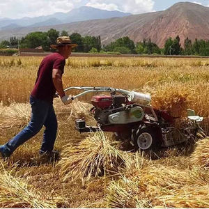 Kleiner Handsteuerungs-Reaper zum Ernten von Weizen Mais Reis Diesel-Bündelung maschine Motor Hand Push Rice Binder Harvest Machine - Product Image 2
