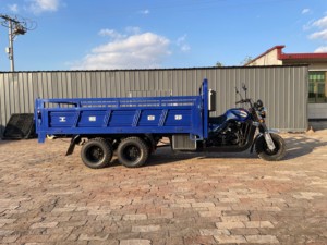 Tricycle à moteur à 9 roues à 2 essieux avec benne basculante de type ouvert, moteur refroidi par eau de 350 cm3, puissance de 1000 W, poids à vide de 500 kg - Product Image 5