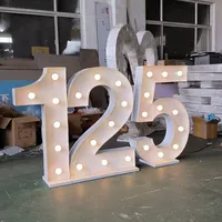 Prix d'usine en gros, lettres et chiffres lumineux LED 3D en cristal personnalisés, étanches, pour décoration, publicité, voiture, anniversaire