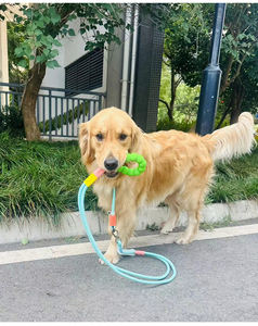 ชุดสายจูงและปลอกคอสุนัขแบบทันสมัย ทำจากไนลอน ลายเรียบ พร้อมริบบิ้น สำหรับฝึกสุนัข ขายส่ง - Product Image 6
