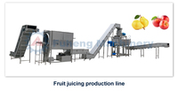 Exprimidor Profesional Eléctrico de Alta Resistencia para Frutas, Mango, Cereza, Cítricos, Naranja, Coco, Leche, Jugo, Máquina Exprimidora de Tornillo