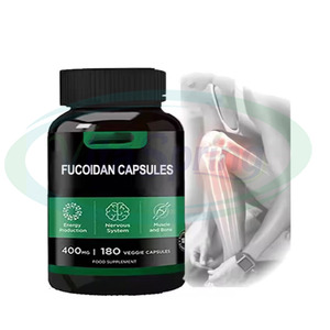 VitaSpring-Cápsulas de extracto orgánico de <span class=keywords><strong>Fucoidan</strong></span>, suplementos de hierbas, 500mg/60 cápsulas, OEM - Product Image 1