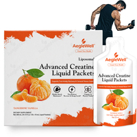 Créatine monohydrate liposomale en sachets liquides en gros – Complément de fitness pour l'énergie sportive quotidienne et le soutien de la vitalité physique