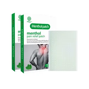 Hot Selling New Product Pain Patch Physiotherapy Pain Wholesaler Patch Menthol Pain Patch CN HEN