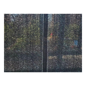 Offre Spéciale HDPE noir Agriculture filet <span class=keywords><strong>d</strong></span>'<span class=keywords><strong>ombrage</strong></span> tissé Protection UV 75% taux <span class=keywords><strong>d</strong></span>'ombre pour les voiles et filets <span class=keywords><strong>d</strong></span>'<span class=keywords><strong>ombrage</strong></span> de serre - Product Image 6