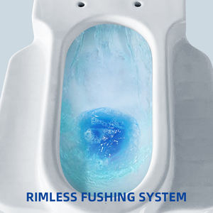 Modern hurk- en zittoilet, antislip, anti-geur, één geheel, dubbel gebruik, geen boren nodig, voor de badkamer - Product Image 6