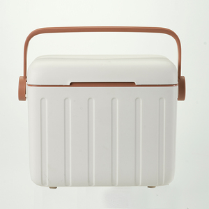 Nhỏ Mát Hộp 6L Xách Tay Cứng Nhựa Thực Phẩm Cách Điện Hiện Đại Mát Cho Lon Giữ Mát Lạnh Cách Nhiệt Lưu Trữ Nước Đá Câu Cá - Product Image 2