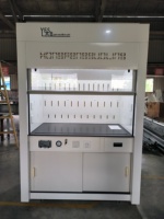 Hotte de laboratoire personnalisée en PP résistante aux acides et aux alcalis pour la ventilation de sécurité des laboratoires chimiques