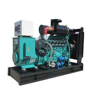 Clean Energy Bio Gas CHP CCHP Power Plant Electrical High Efficiency Powered Propane Biogas Generator