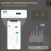 Saklar Sentuh Lampu Rumah Pintar Standar AS 110V 220V 2 Gang Zigbee 3.0 Kontrol 10A Smart Life