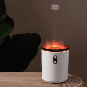 Groothandel Nieuwe Ultrasone Aroma Diffuser Huishoudelijke 450Ml Waterverstuiver Luchtbevochtiger Met Timer Functie Voor Maatwerk