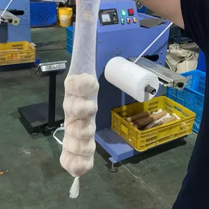 High Quality Garlic Packing Net Bag Plastic Mesh Bag Mesh Roll
