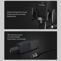 Microphone à condensateur professionnel Madon M1 48V filaire, portable, pour studio d'enregistrement, en plastique et métal, avec suppression du bruit