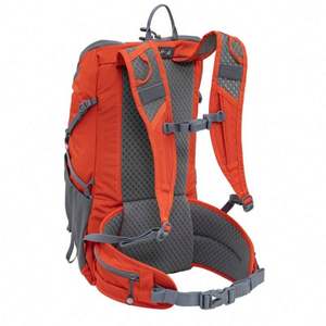 Échantillon gratuit Sac de randonnée de voyage extérieur extra large personnalisé de 60 L Sac à dos de montagne en polyester - Product Image 2