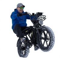 Vélo électrique tout-terrain pour adultes KOOLUX X9 250W 48V avec batterie au lithium, pneus 20x40, frein à disque hydraulique, certifié CE EN15194, stock australien