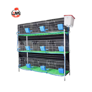 Longue durée <span class=keywords><strong>de</strong></span> vie 12 cellules Cages commerciales pour lapins Elevage professionnel <span class=keywords><strong>de</strong></span> lapins en Afrique - Product Image 4