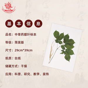 Chinese herbal specimens for study, including frameless, simply bound editions of herbarium <b>leaves</b>, which can be framed by the - Product Image 3