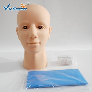 Modèle de formation en rétinothérapie pour la science médicale, modèle d'infirmier en PVC, modèle de démonstration pédagogique en <span class=keywords><strong>ophtalmologie</strong></span> - Product Image 1
