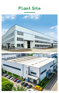 Polvere di Estratto di Cipolla Idrosolubile di Grado Alimentare, Polvere di Cipolla Naturale, Spezie ed Erbe Singole dal Fornitore - Product Image 3