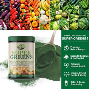 Superalimento en Polvo de Venta Caliente OEM ODM Hecho con Frutas, Verduras y Hierbas Reales, Apoyo Digestivo y Energético, Suplemento para la Salud - Product Image 2