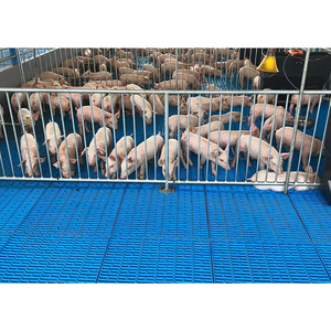 Cage de pépinière de caisse de sevrage de porc de haute qualité et facile à installer et à nettoyer - Product Image 2