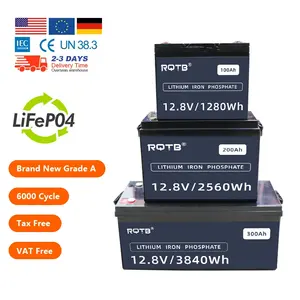 Factory Custom12v 24 Volt 100ah Solar Lifepo4 Battery Energi Storage Li Ion Batterie Lithium Iron Phosphate Battery