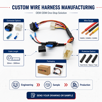 Arnés de cableado automotriz, conjunto de cables personalizado con portafusibles, conector, terminal, reparación eléctrica de vehículos