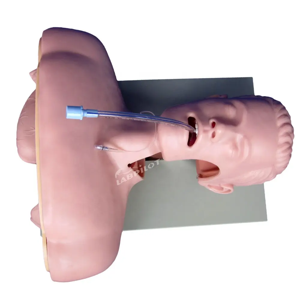 Advanced Electronic Intubation Training Head, Airway Management Model