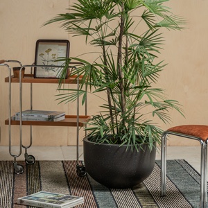 Grandi vasi per interni ed esterni <span class=keywords><strong>in</strong></span> fibra di cemento <span class=keywords><strong>in</strong></span> argilla con foro di drenaggio per la casa e <span class=keywords><strong>il</strong></span> <span class=keywords><strong>giardino</strong></span> di fiori - Product Image 5